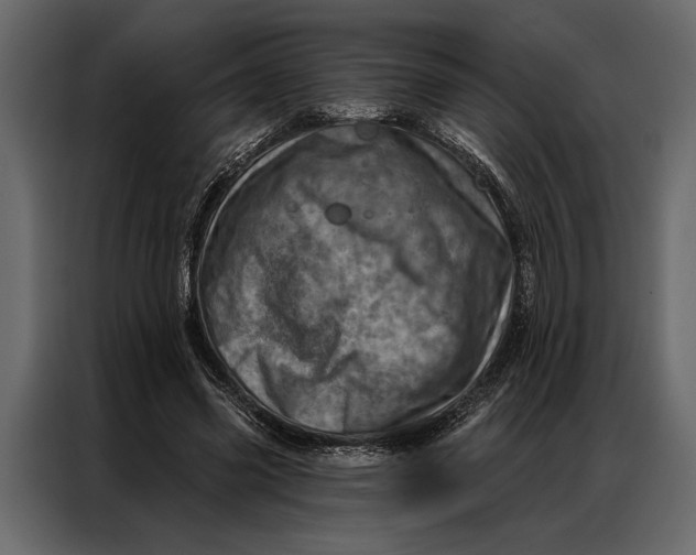 X0000087000541200705071508