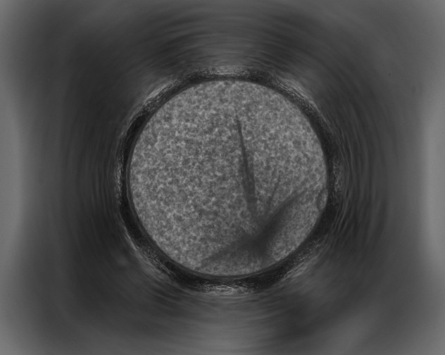 X0000087000542200705071508