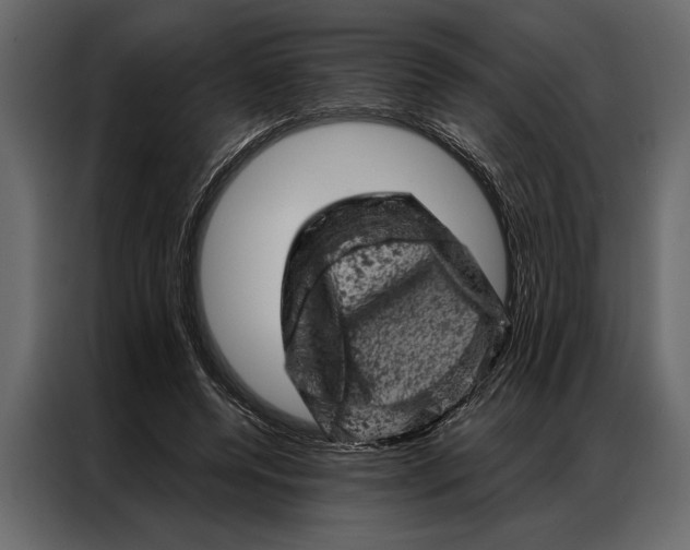 X0000087000544200705071508