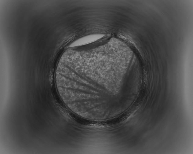 X0000087000545200705071508