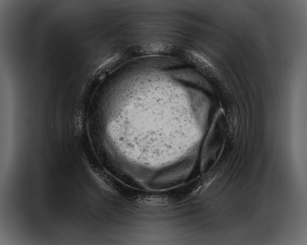 X0000087000546200705071508