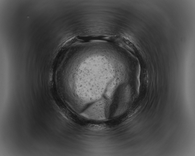 X0000087000548200705071508