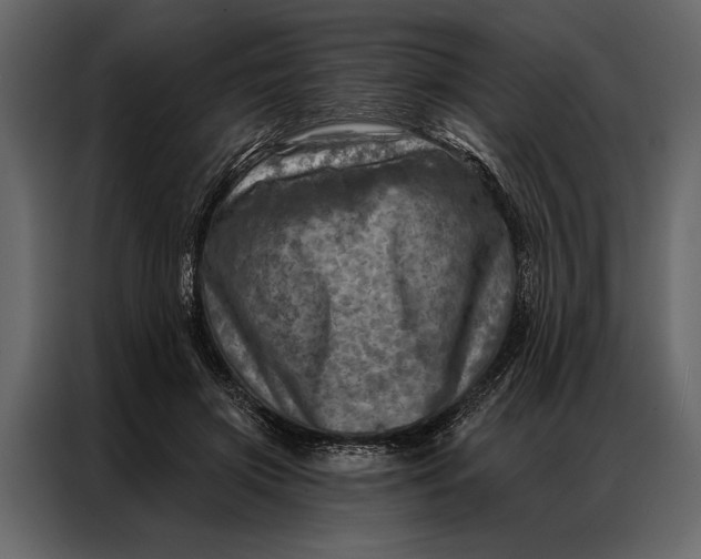 X0000087000549200705071508