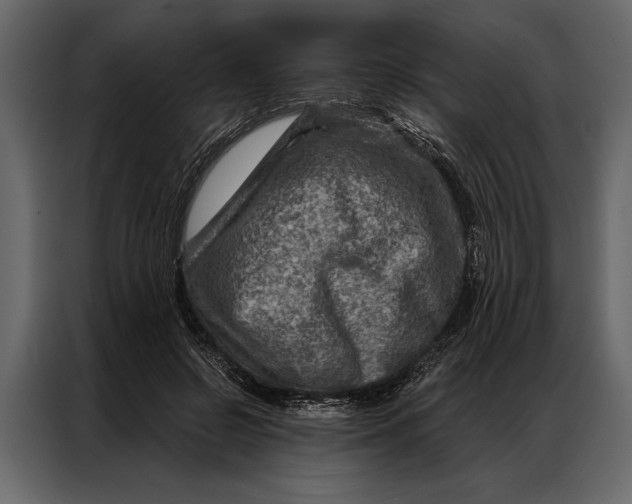 X0000087000550200705071508