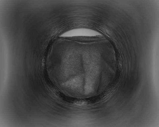 X0000087000551200705071508