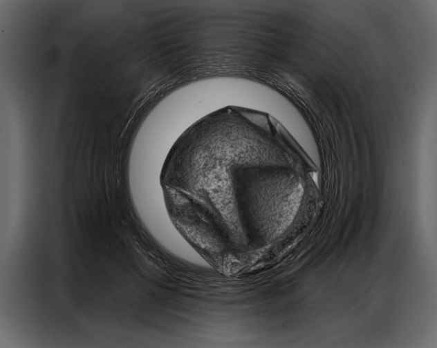 X0000087000552200705071508