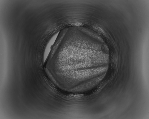 X0000087000553200705071508