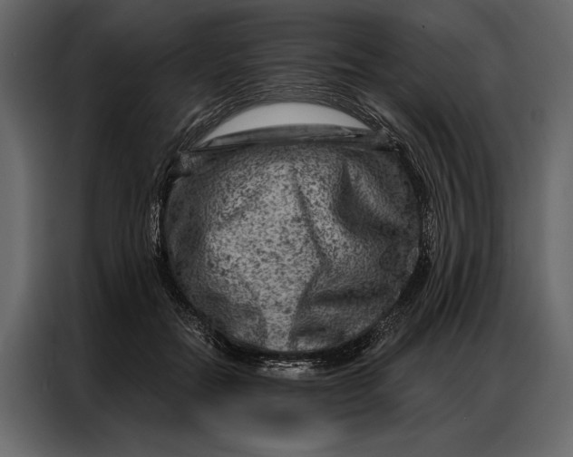 X0000087000554200705071508