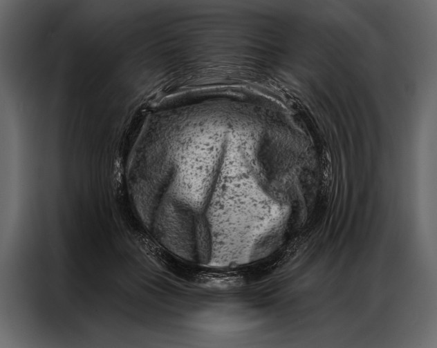 X0000087000555200705071508