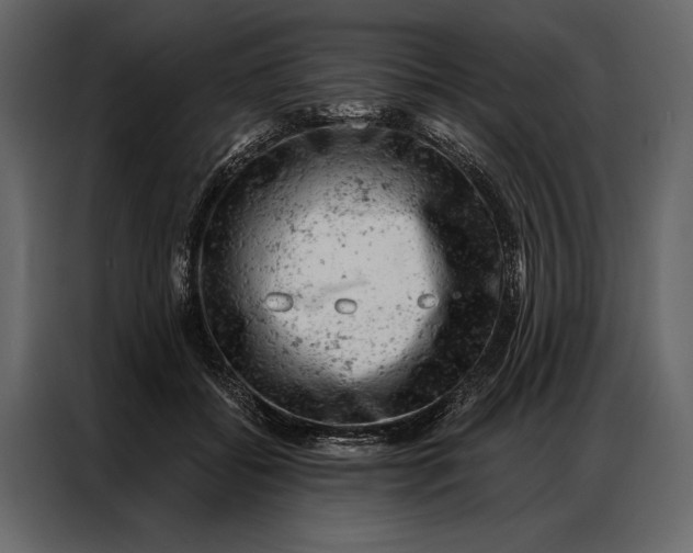 X0000087000556200705071508