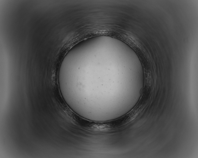 X0000087000557200705071508