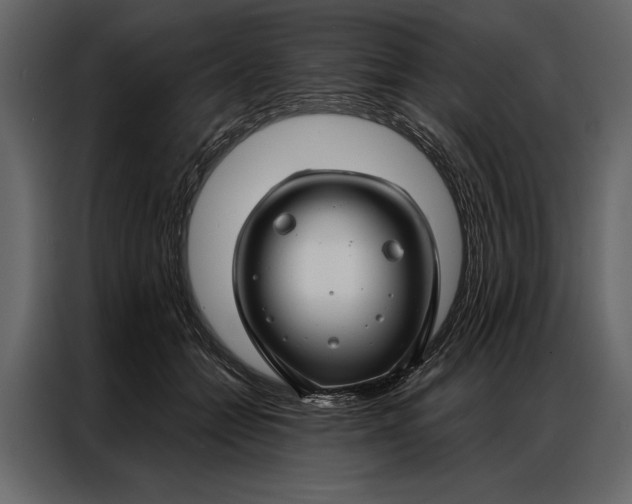 X0000087000558200705071508