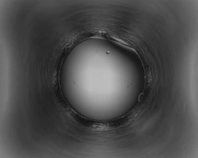 X0000087000559200705071508