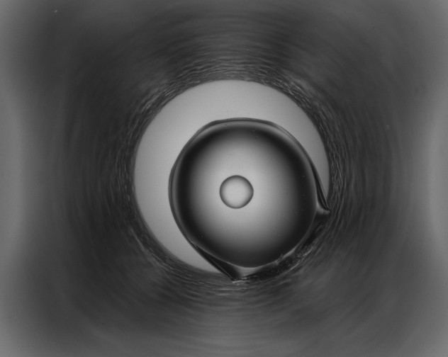 X0000087000560200705071508