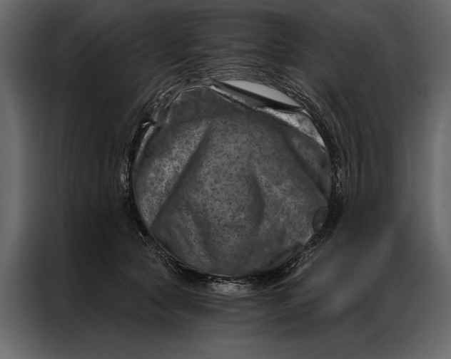 X0000087000561200705071508