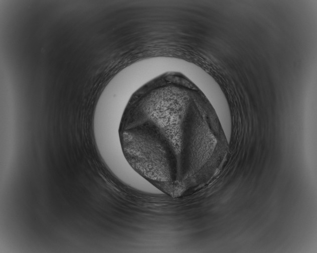 X0000087000562200705071508