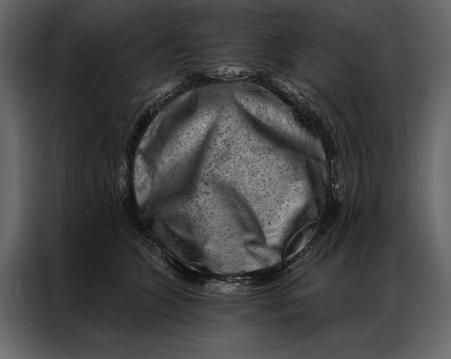 X0000087000563200705071508