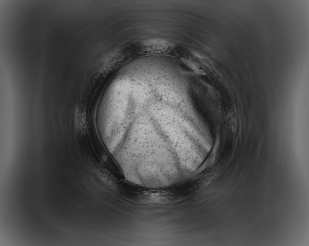 X0000087000564200705071508