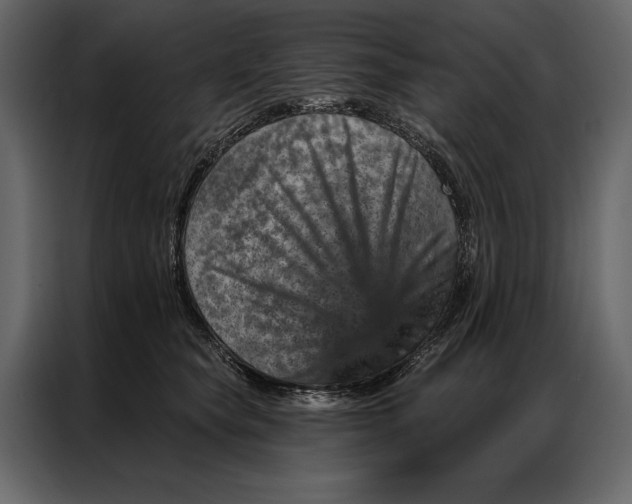 X0000087000565200705071508