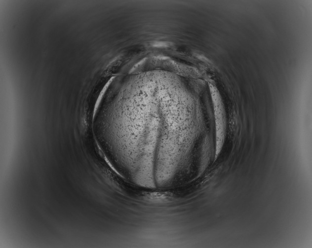 X0000087000566200705071508