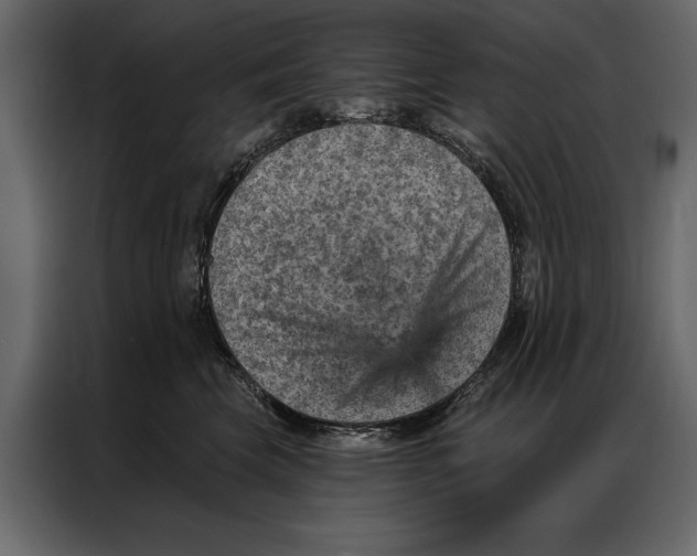 X0000087000569200705071508