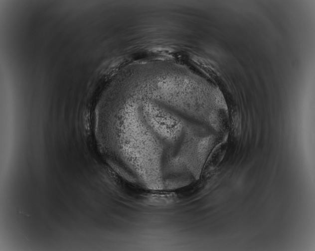 X0000087000571200705071508