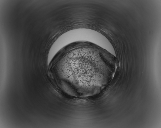 X0000087000572200705071508