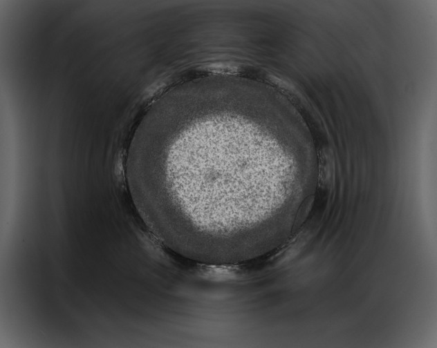 X0000087000573200705071508