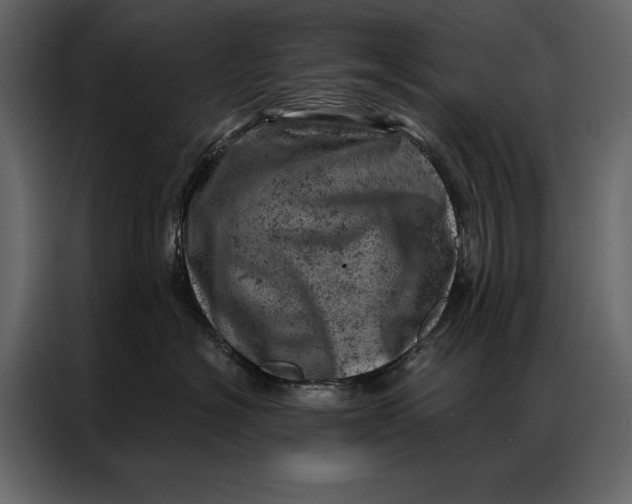 X0000087000574200705071508