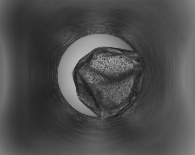 X0000087000576200705071508