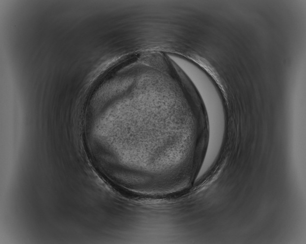 X0000087000577200705071508