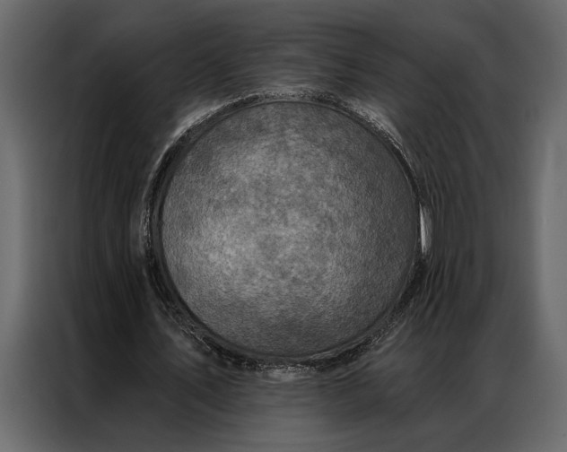 X0000087000579200705071508