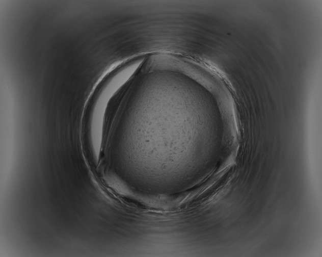 X0000087000580200705071508