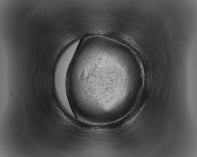 X0000087000585200705071508