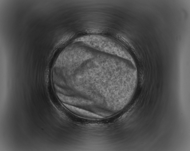 X0000087000586200705071508