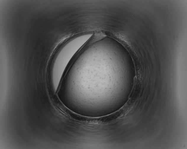 X0000087000587200705071508