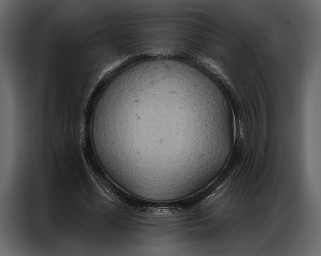 X0000087000588200705071507