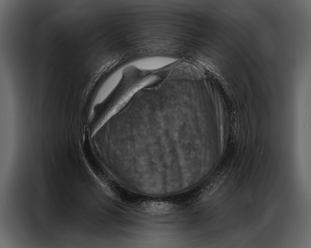 X0000087000590200705071507