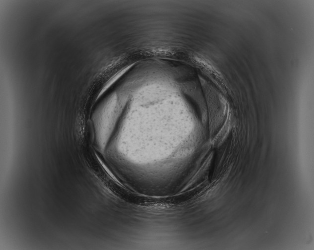 X0000087000593200705071507