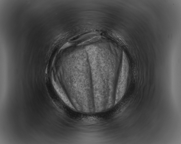 X0000087000594200705071507