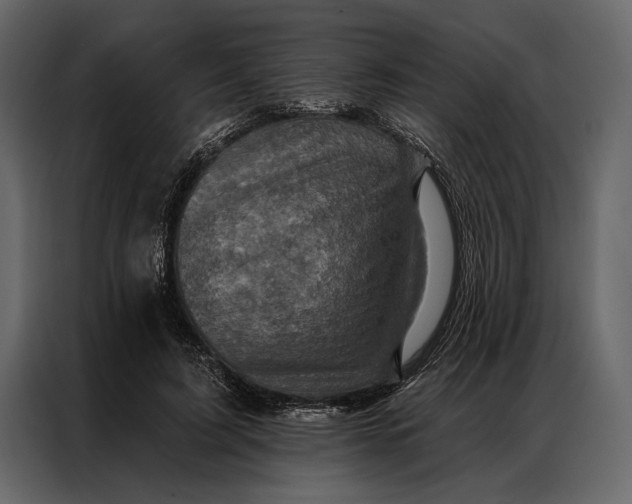 X0000087000595200705071507