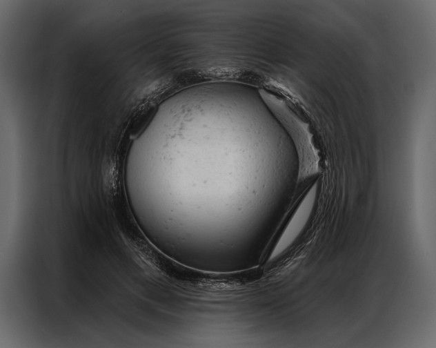 X0000087000597200705071507