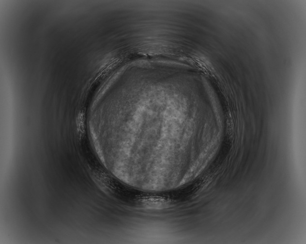 X0000087000598200705071507