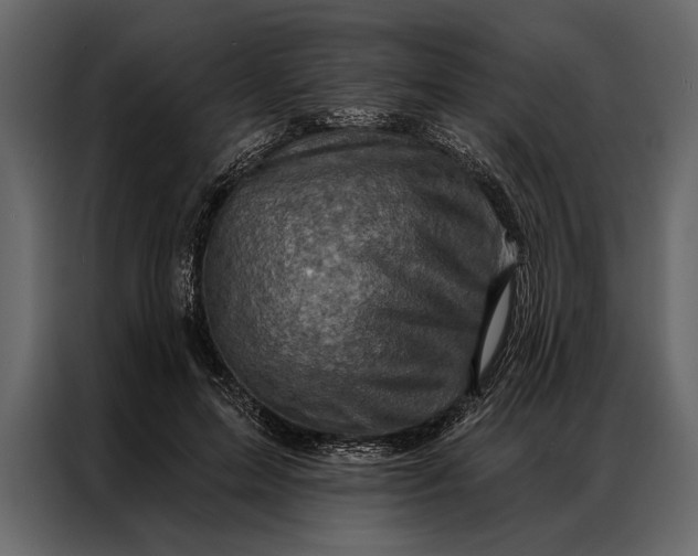 X0000087000599200705071507