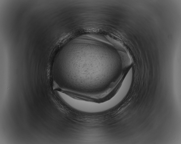 X0000087000600200705071507