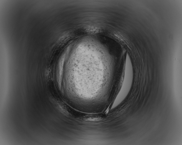 X0000087000601200705071507