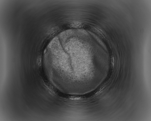 X0000087000602200705071507