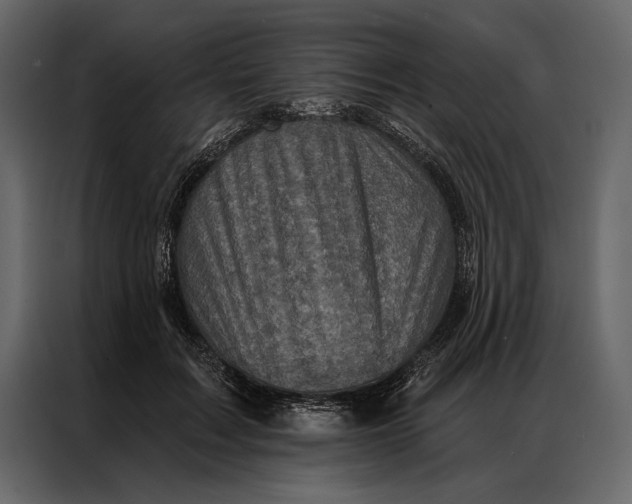 X0000087000603200705071507