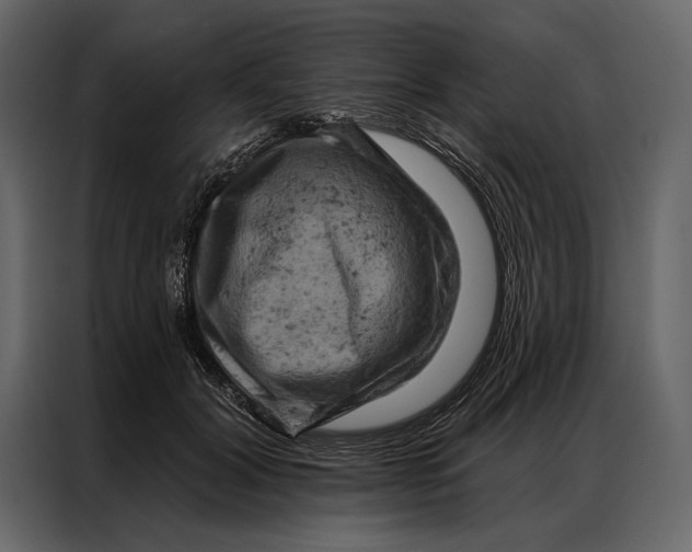 X0000087000604200705071507