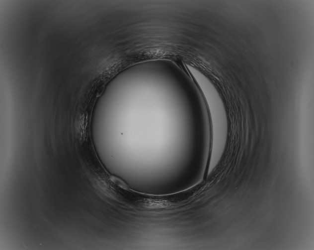 X0000087000605200705071507